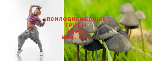 мдпв Балабаново